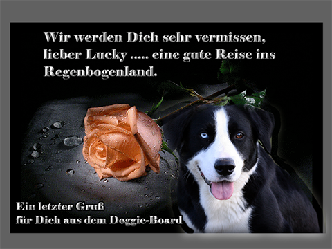 Danke an Ulrike Grafik - Doggie-Board